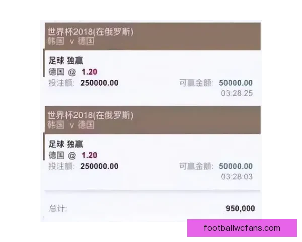 世界杯竞猜高赔率平台推荐，让你轻松掌握投注技巧赢大奖