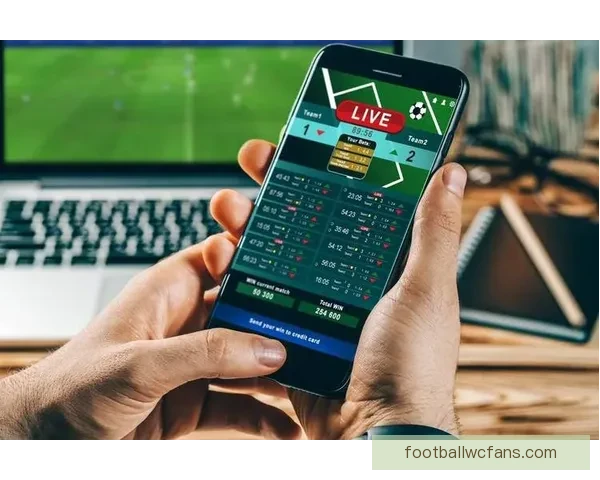 世界杯竞猜网站汇总推荐全攻略让你轻松掌握投注技巧